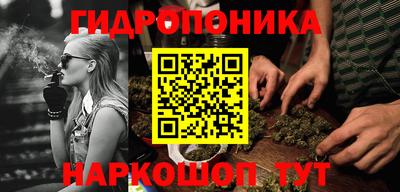 PSILOCYBIN Мариинск