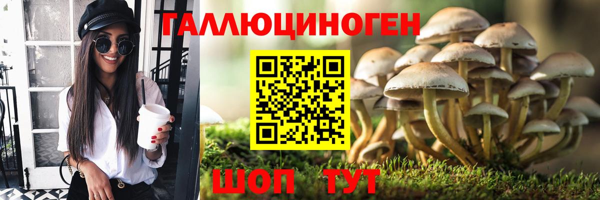 Лсд 25 Северск