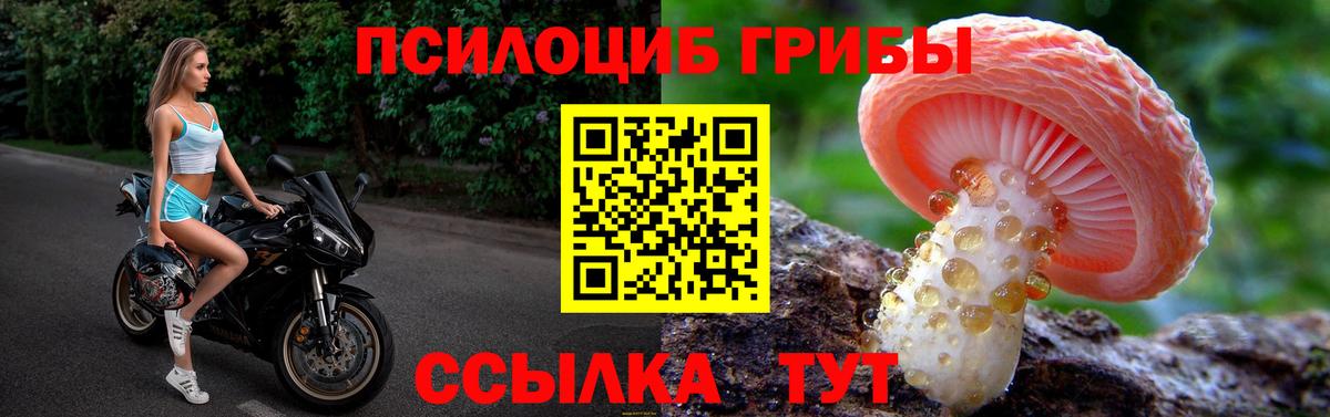 Северск  Галлюциногенные грибы MAGIC MUSHROOMS  хочу наркоту  Вход с VPN 